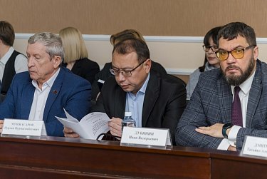 Бюджет на решение «собачьего» вопроса останется прежним